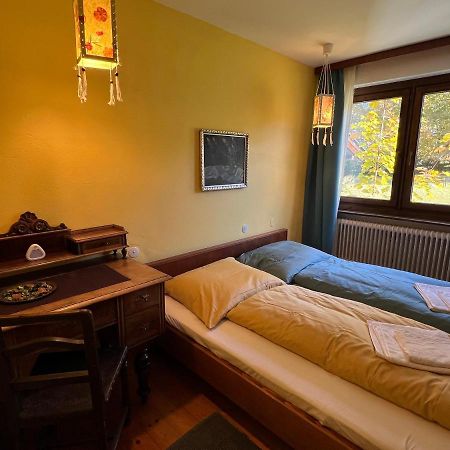 Haus Im Gruenen Apartment Saalfelden ภายนอก รูปภาพ
