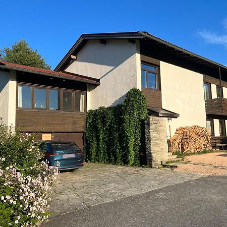 Haus Im Gruenen Apartment Saalfelden ภายนอก รูปภาพ